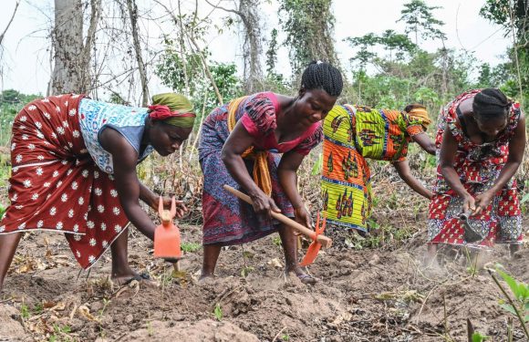 Côte d’Ivoire : grâce aux femmes, les enfants quittent les plantations de cacao pour les bancs de l’école