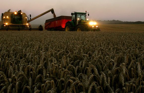 Des agriculteurs «gagnent 350 euros» et «vivent bien» : les propos d’un député LREM font un tollé