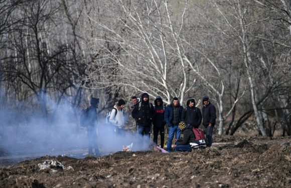 Ankara déploie 1 000 policiers à la frontière gréco-turque pour éviter le retour des migrants