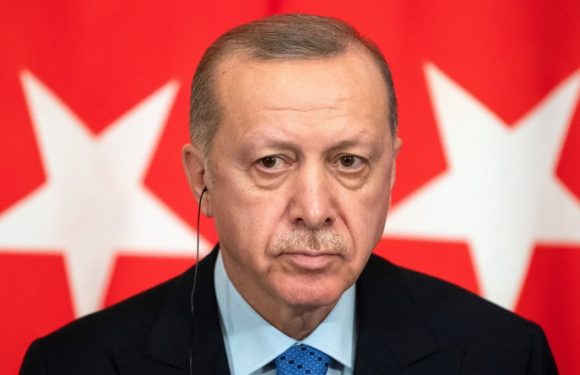 Visas pour les Turcs, fonds européens : l’UE s’apprêterait à proposer des mesures pour calmer Ankara