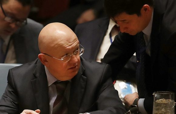Idleb : les Etats-Unis s’opposent à une déclaration de l’ONU soutenant l’accord russo-turc