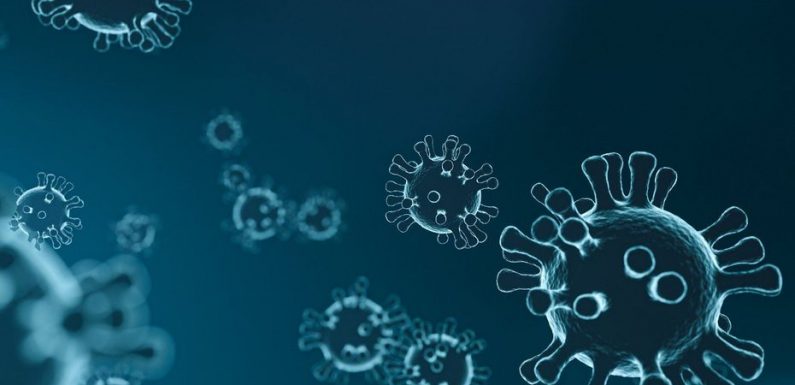 Coronavirus : lancement d’un essai clinique de grande ampleur de la chloroquine