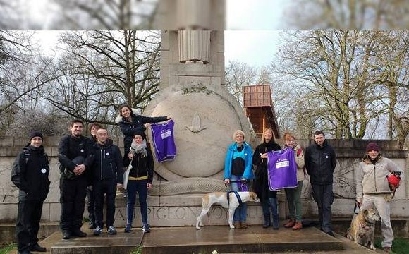 Municipales à Lille : Le parti animaliste entre dans la course au beffroi