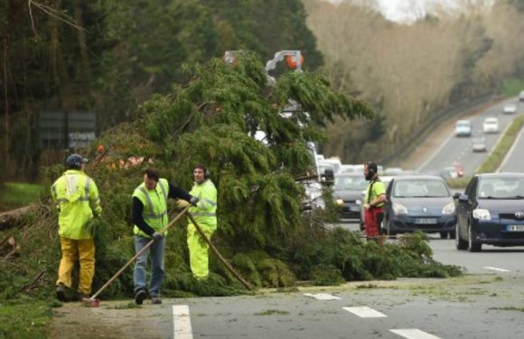 Tempête «Myriam»: 60.000 foyers privés d’électricité dans le sud-ouest