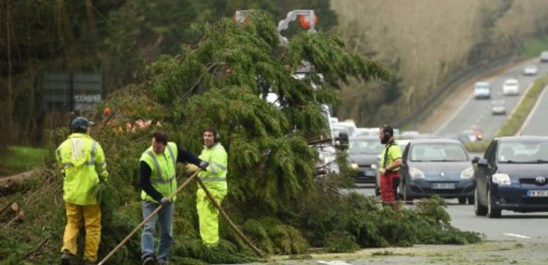 Tempête «Myriam»: 60.000 foyers privés d’électricité dans le sud-ouest