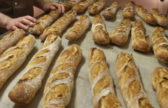 Paris : La meilleure baguette se trouve cette année dans le 17e arrondissement