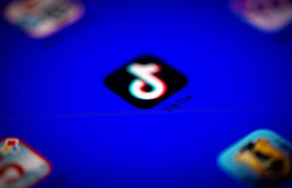 TikTok : Comment protéger son compte contre le cyber-harcèlement et autres comportements malveillants ?