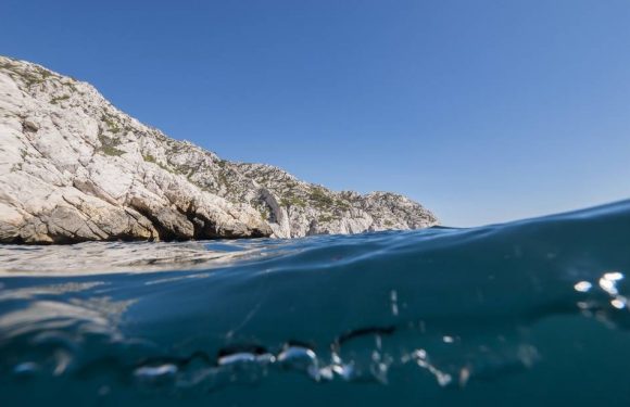 Marseille : Les braconniers des calanques condamnés à verser 385.000 euros d’amende