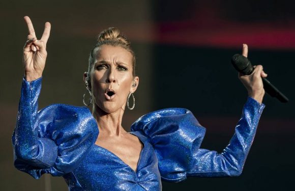 Non, Céline Dion n’a pas ignoré une fan qui lui chantait « I Surrender »