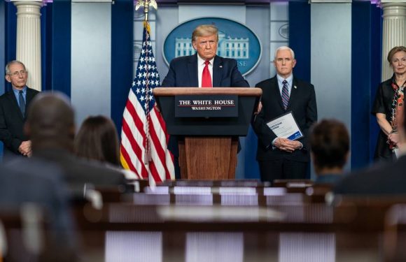 VIDEO. Coronavirus : Donald Trump se pose en « commander in chief » et grimpe dans les sondages