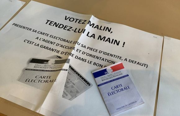 Elections municipales à Strasbourg : Ce qu’il faut retenir de ce premier tour dans l’agglomération