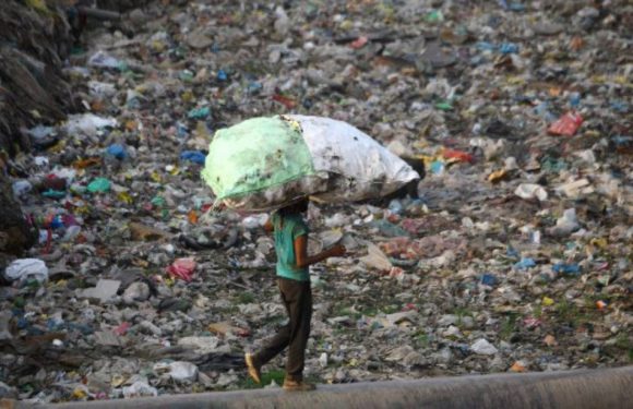 Seuls 10% des 9,2 milliards de tonnes de plastiques fabriqués depuis les années 1950 ont été recyclés