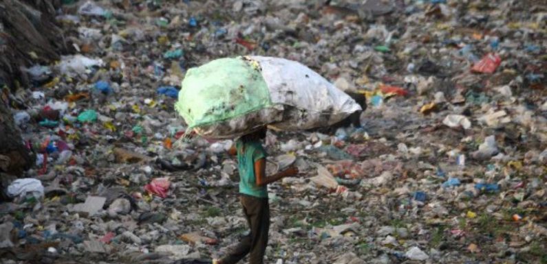 Seuls 10% des 9,2 milliards de tonnes de plastiques fabriqués depuis les années 1950 ont été recyclés