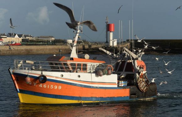 Coronavirus en Bretagne : « Continuez à manger du poisson »… Le cri d’alarme de toute une filière