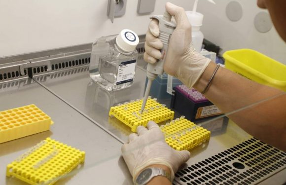 Une découverte scientifique liée à la grippe avec des implications contre le coronavirus ?