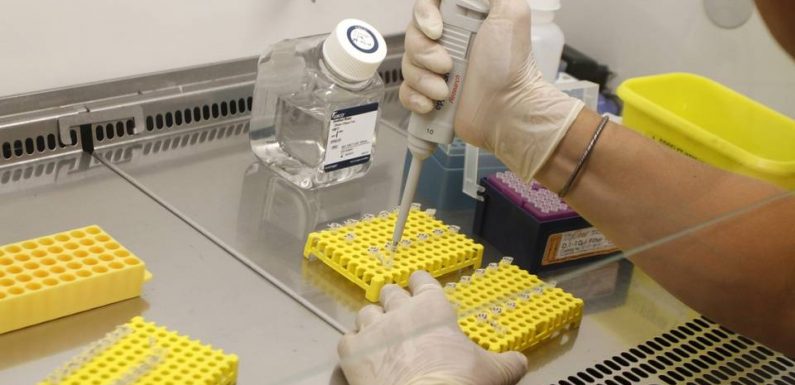 Une découverte scientifique liée à la grippe avec des implications contre le coronavirus ?