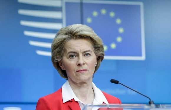 Coronavirus : Le Covid-19 a été « sous-estimé » par les responsables politiques, reconnaît l’UE