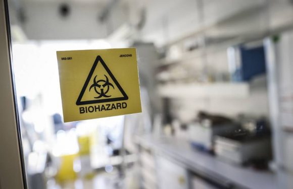 Coronavirus : Non, le Covid-19 n’a pas été breveté par l’Institut Pasteur en 2004
