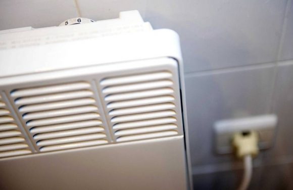 Le chauffage de particuliers pourra baisser automatiquement pour aider le système électrique français