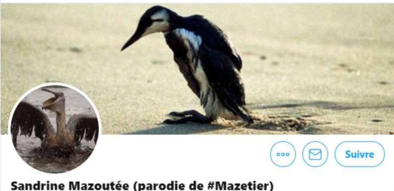 Municipales 2020 : « Sandrine Mazoutée », « Martine Vammal »… Pourquoi autant de comptes parodiques pour « troller » les candidats ?