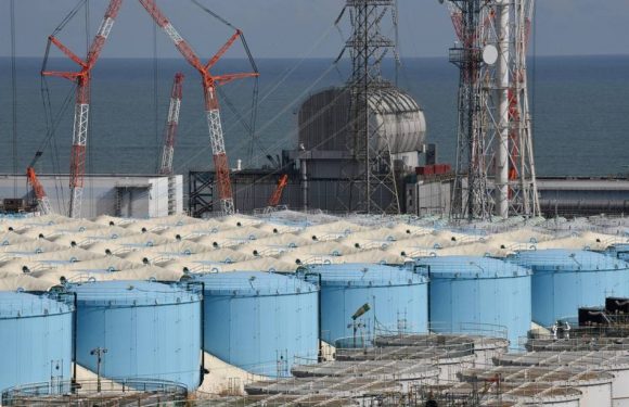 Fukushima : Neuf ans après la catastrophe nucléaire, où en est le chantier de décontamination ?