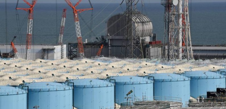 Fukushima : Neuf ans après la catastrophe nucléaire, où en est le chantier de décontamination ?