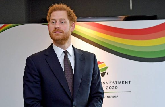 Piégé par une fausse Greta Thunberg, le prince Harry se lâche sur Trump et sa vie privée