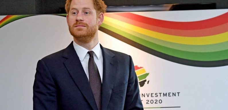 Piégé par une fausse Greta Thunberg, le prince Harry se lâche sur Trump et sa vie privée