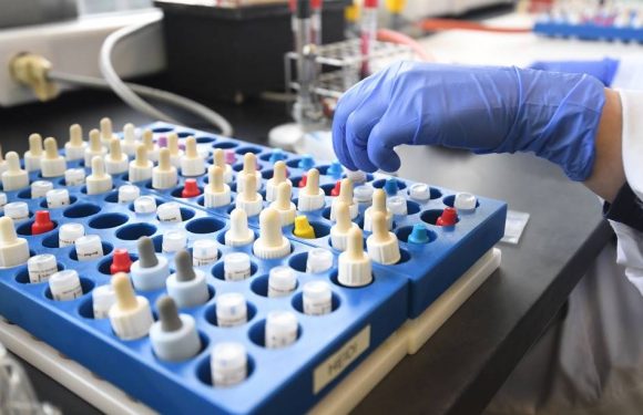 Coronavirus : Les tests de dépistage vont bien coûter 54 euros