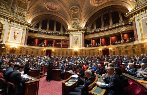 Congé de deuil parental : Le Sénat s’apprête à voter un allongement à 15 jours