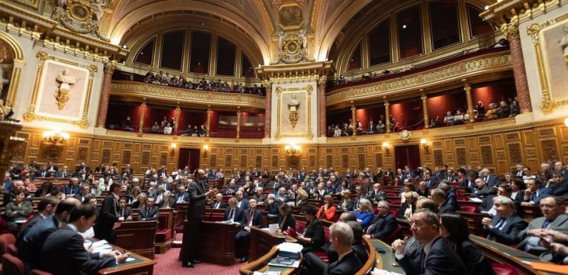 Congé de deuil parental : Le Sénat s’apprête à voter un allongement à 15 jours