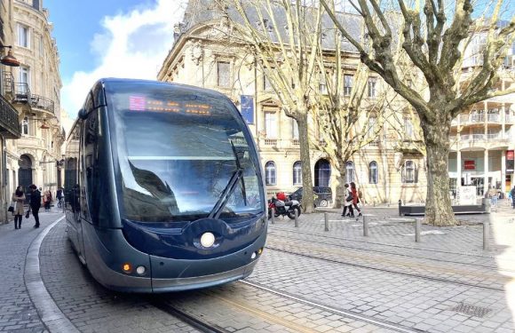 Coronavirus à Bordeaux : Suspicion de cas sur une conductrice, le réseau TBM à l’arrêt