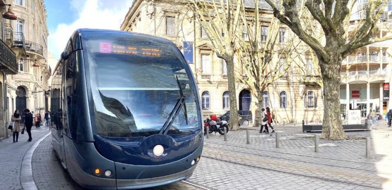 Coronavirus à Bordeaux : Suspicion de cas sur une conductrice, le réseau TBM à l’arrêt