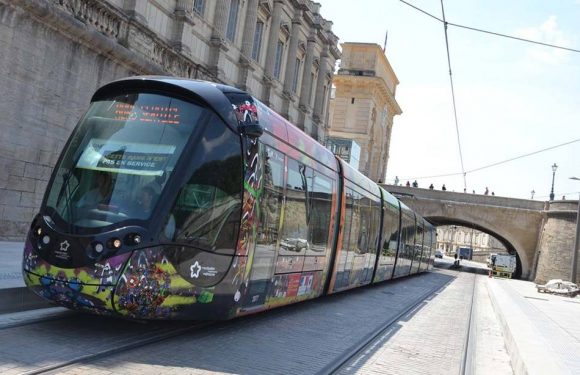 Municipales 2020 à Montpellier : Le modèle des transports gratuits est-il possible dans la métropole ?
