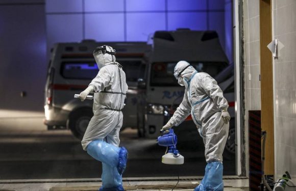 Coronavirus : La Chine envoie un million de masques à la France