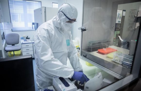 «Testez les gens !» : l’OMS appelle à un dépistage massif du coronavirus