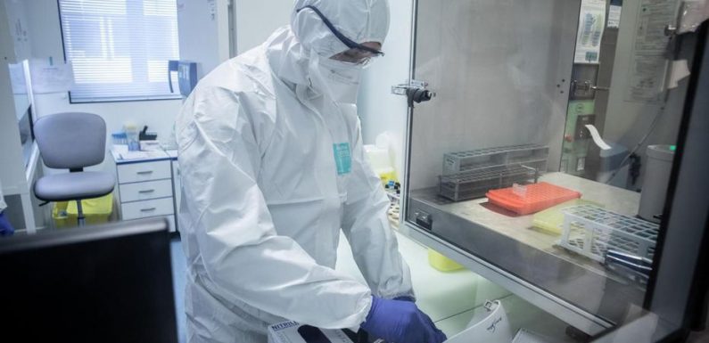 «Testez les gens !» : l’OMS appelle à un dépistage massif du coronavirus