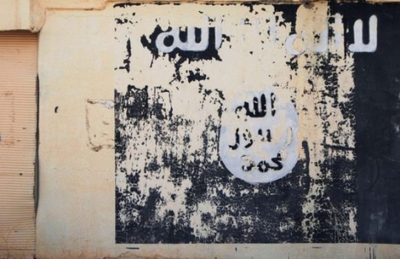 L’EI conseille à ses djihadistes de ne pas se rendre en Europe… à cause du coronavirus