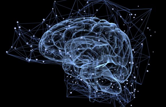 Les nouvelles technologies qui sondent votre cerveau pour mieux vous soigner