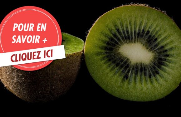 10 moyens de booster naturellement nos défenses immunitaires