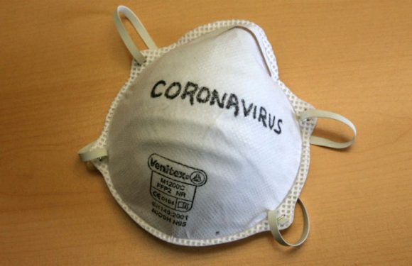 Mortalité, saison, foyer : le coronavirus Covid-19 en six questions (pas si) bêtes