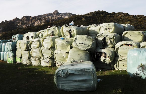 Corse : des municipales parfumées au fumet de déchets
