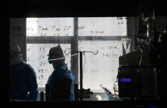 Coronavirus : à l’épicentre de Wuhan, une étude estime la mortalité à 1,4 %