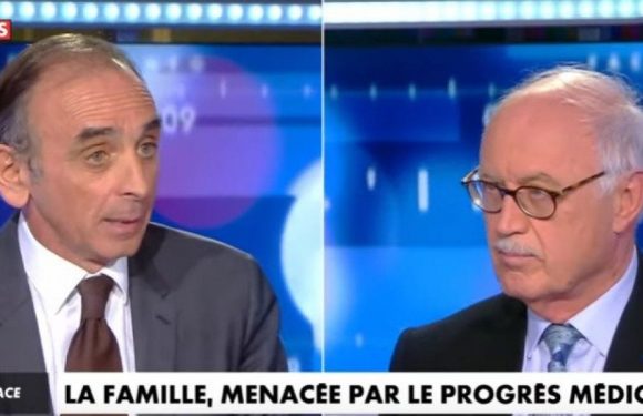 Ainsi font, font, font les petites marionnettes. Entre faire et être. Débat Touraine/Zemmour
