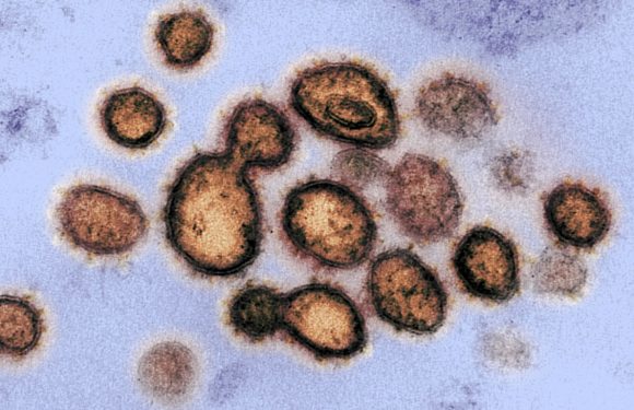 Coronavirus: les hommes de plus de 70 ans ou déjà malades sont les plus vulnérables