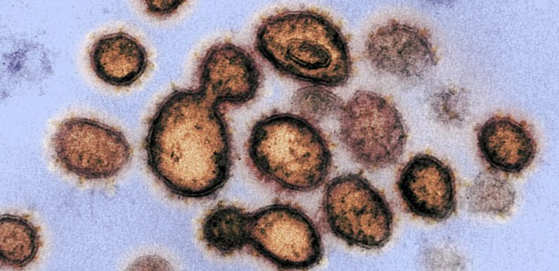 Coronavirus: les hommes de plus de 70 ans ou déjà malades sont les plus vulnérables
