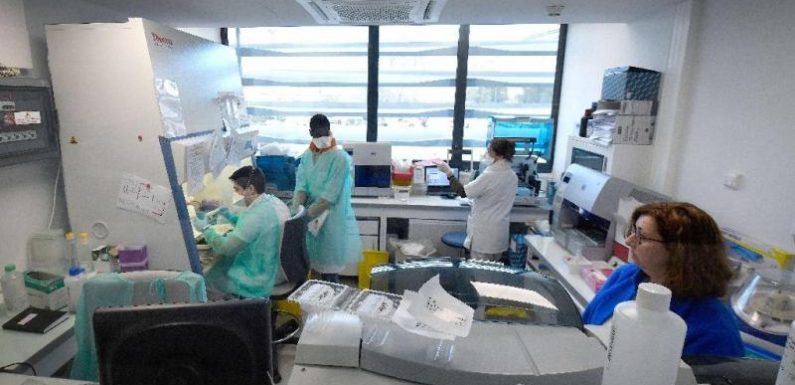 Des médecins se rebellent et décident de soigner les patients infectés à la chloroquine