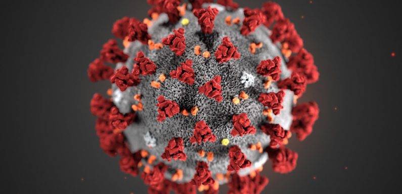 L’épidémie de coronavirus est désormais une pandémie, déclare l’OMS