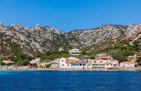 A Marseille, quatre braconniers condamnés à 350.000 euros pour « préjudice écologique », une première