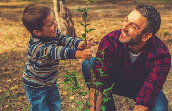 Brésil : Les gens qui adoptent des chiens errants ou plantent des arbres bénéficient d’allègements fiscaux